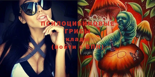 стаф Беломорск