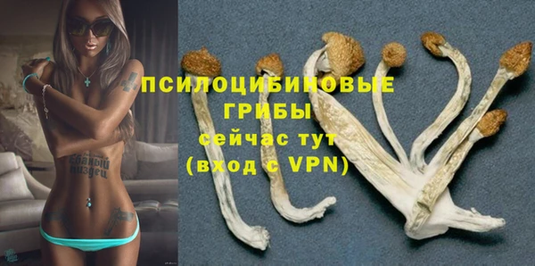 мескалин Белокуриха