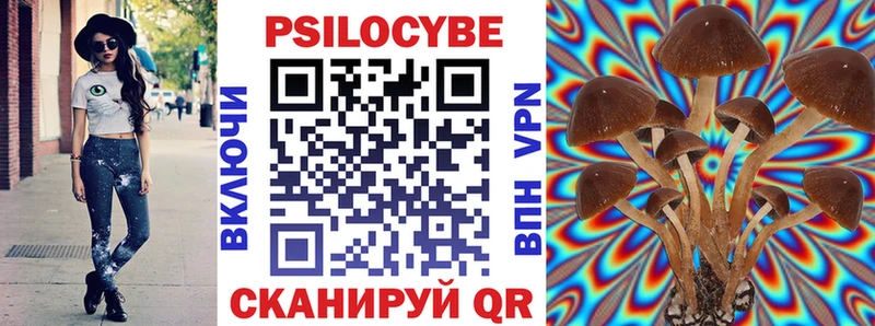Псилоцибиновые грибы ЛСД  Светогорск 