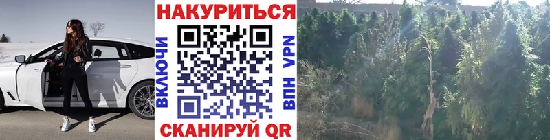 нарко площадка клад  Светогорск  МАРИХУАНА LSD WEED 